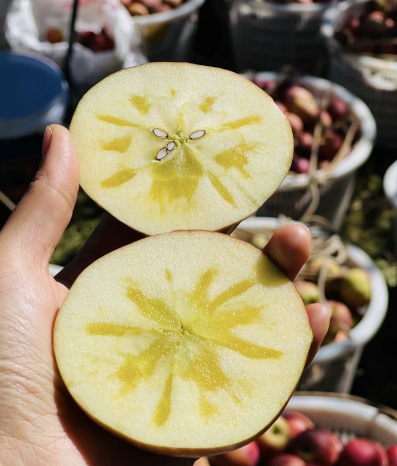 阿克苏冰糖心苹果脆甜糖心大量有货欢迎老板来电