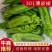 河南沈丘县农户代收，薄皮辣椒301大量有货欢迎电联采购