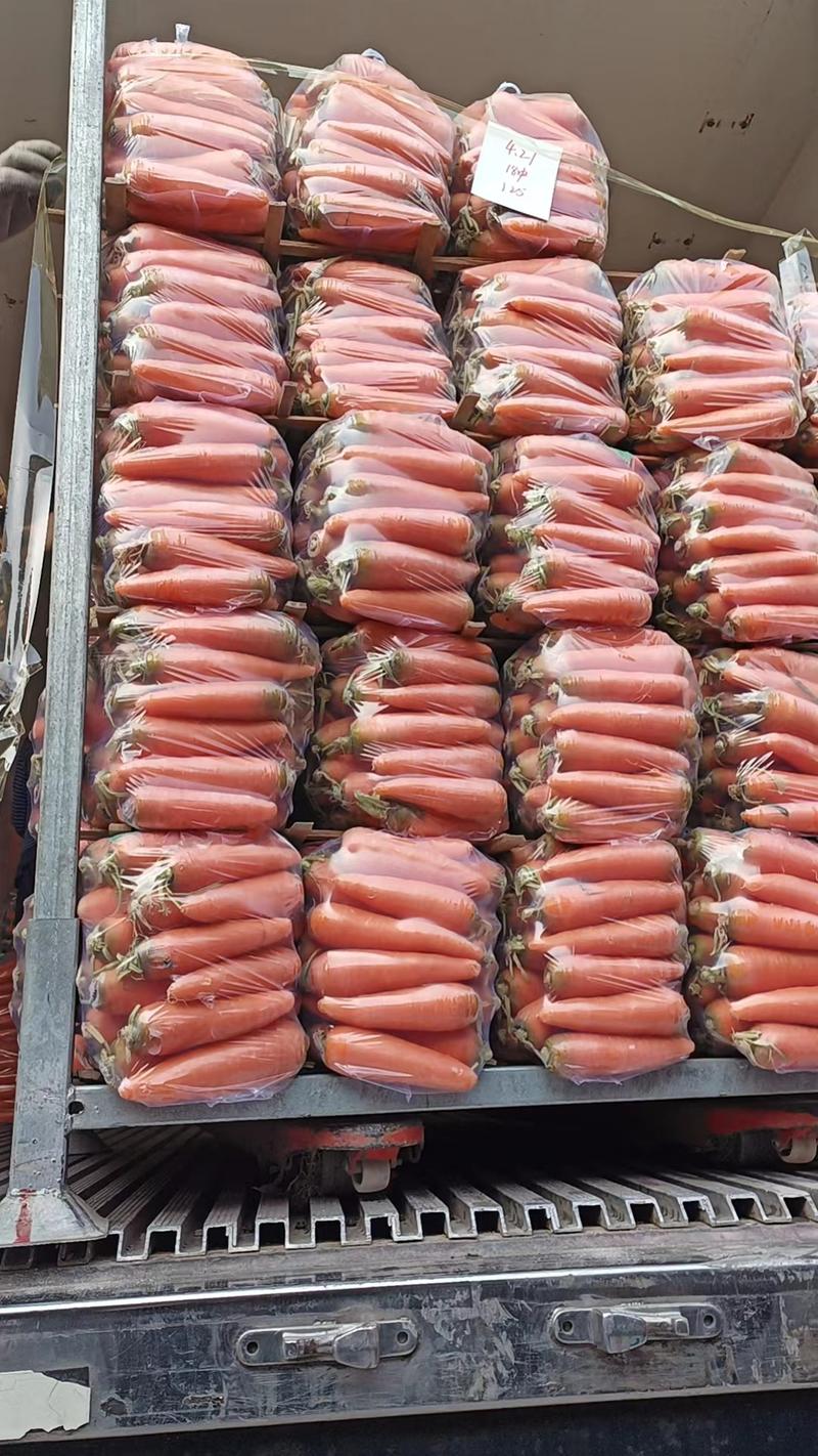 【热卖】宿州胡萝卜精品现货货源，可对接商超可视频看货