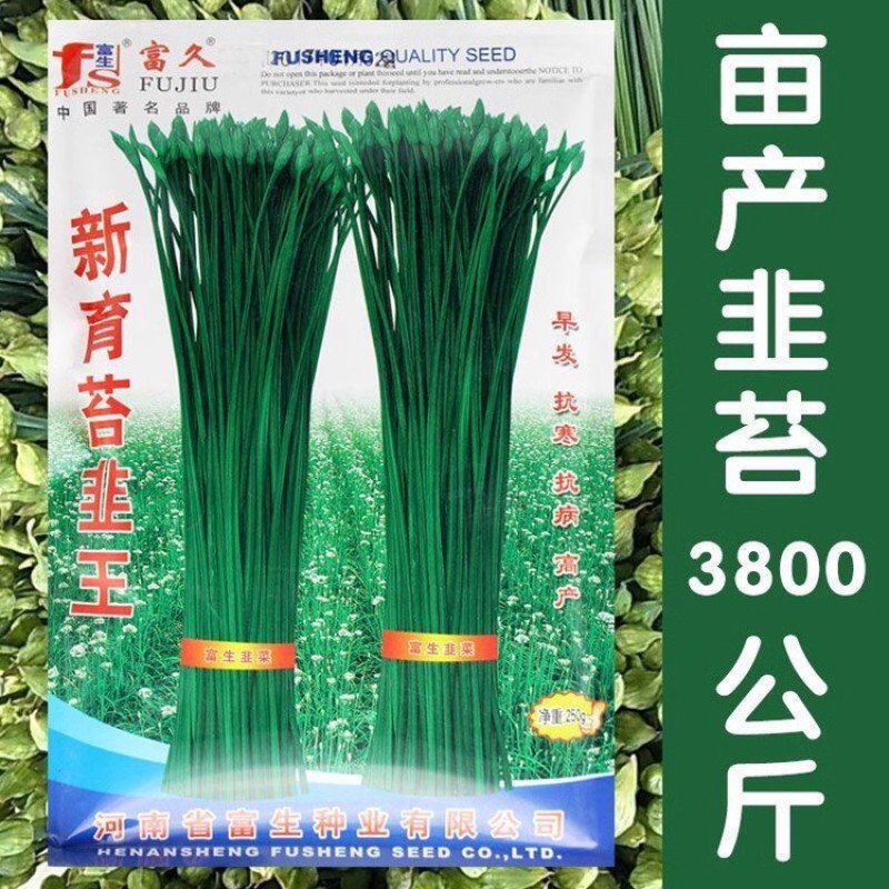 富生新育苔韭王种子，韭苔种子，叶苔兼用，早发，抗寒，抗病