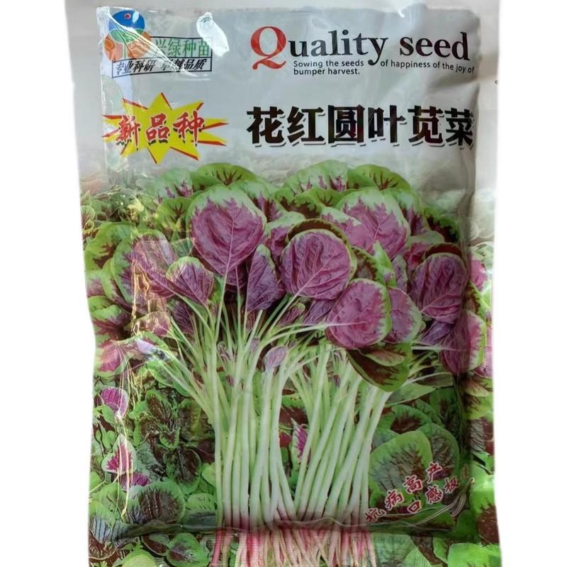 红苋菜种子花红圆叶白青苋菜耐热耐寒耐抽苔蔬菜高产品质好