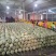 哈密瓜晓蜜25号哈密瓜整箱脆甜新鲜水果发货全国