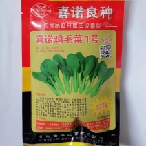 喜诺鸡毛菜种子一代杂交鸡毛菜小青菜种子耐热耐湿四季种