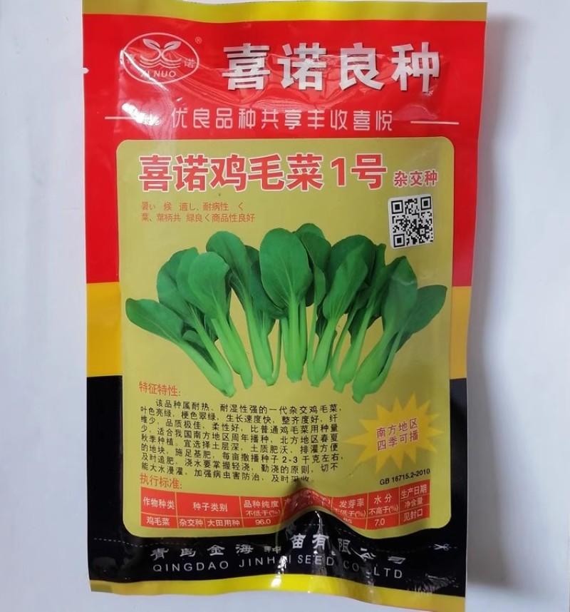 喜诺鸡毛菜种子一代杂交鸡毛菜小青菜种子耐热耐湿四季种