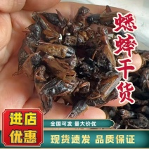 蟋蟀干货，蛐蛐干货，中药材蟋蟀，宠物饲料干蟋蟀