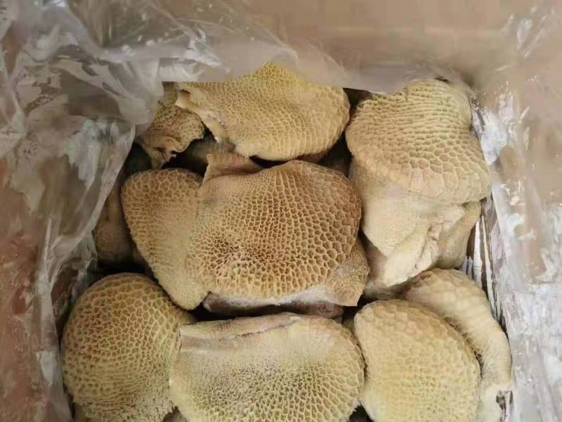 金钱肚优质金钱肚质量保障一手货源全国冷链发货