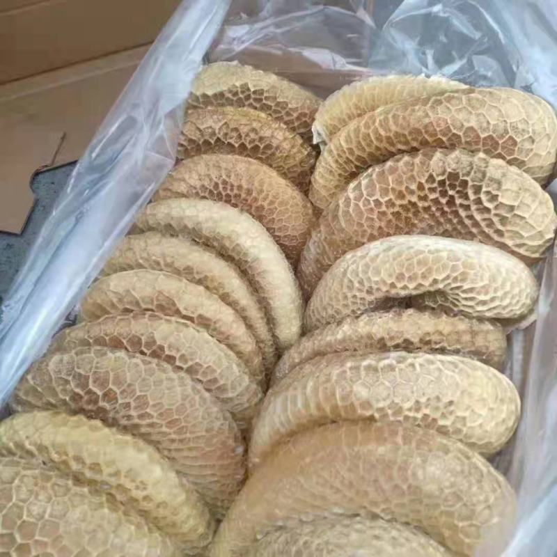 金钱肚优质金钱肚质量保障一手货源全国冷链发货