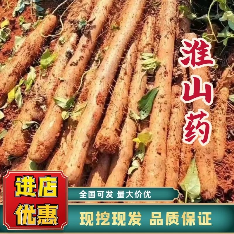 广西淮山药，白鬼，黑鬼，滚地龙粉糯香甜，产地直发。