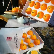 江西精品爱媛橙，产地直发，保质保量，欢迎老板选购