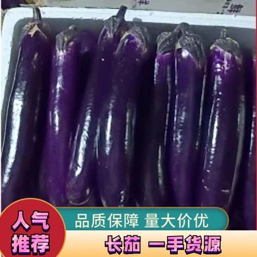 广东紫色长茄质量优先产地直发可视频看货欢迎咨询