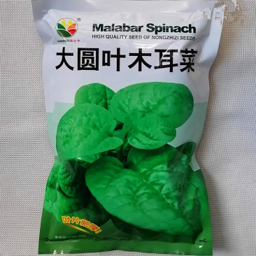 大圆叶木耳菜种子叶片肥厚大叶木耳菜种籽耐高温耐湿