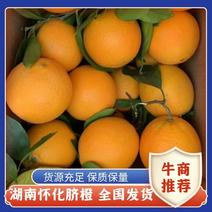 【脐橙】种植户一手货源无中间商保质保量电联更