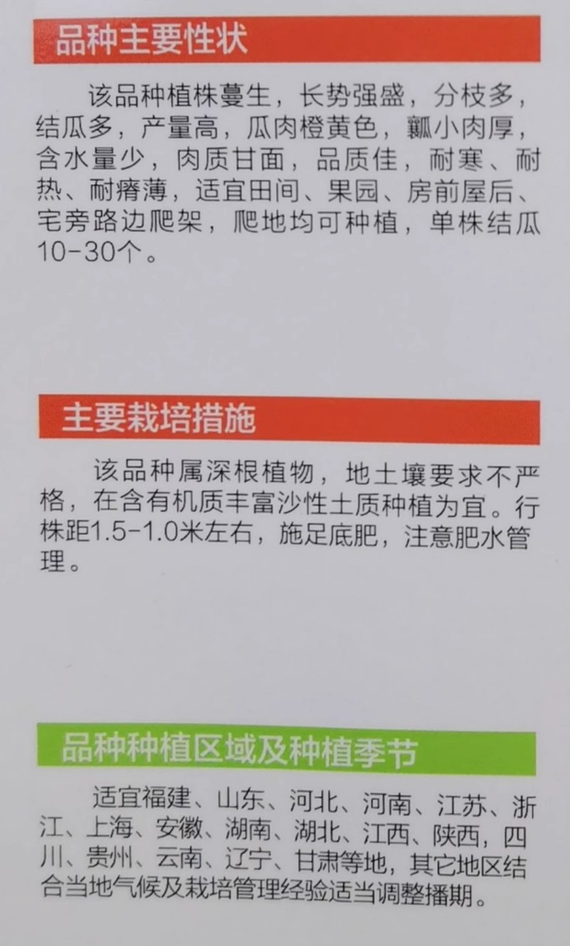 黑皮长南瓜种子，瓜条黑绿，菜用南瓜品种，早熟抗病，基地用