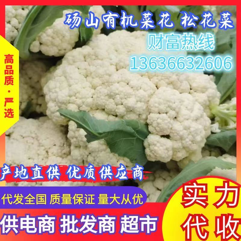 安徽宿州有机花砀山松花菜散花小米花产地直发