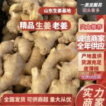 山东老姜鲜姜老姜水洗姜烘干姜风干姜质量保证全国发货