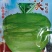 辣疙瘩菜种子狮子头疙瘩干大头芥菜腌咸菜东北秋季蔬菜种子