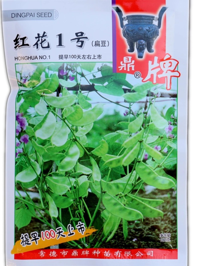 鼎牌红花1号扁豆种子基部开始结荚重复结荚高产棚室露地种植