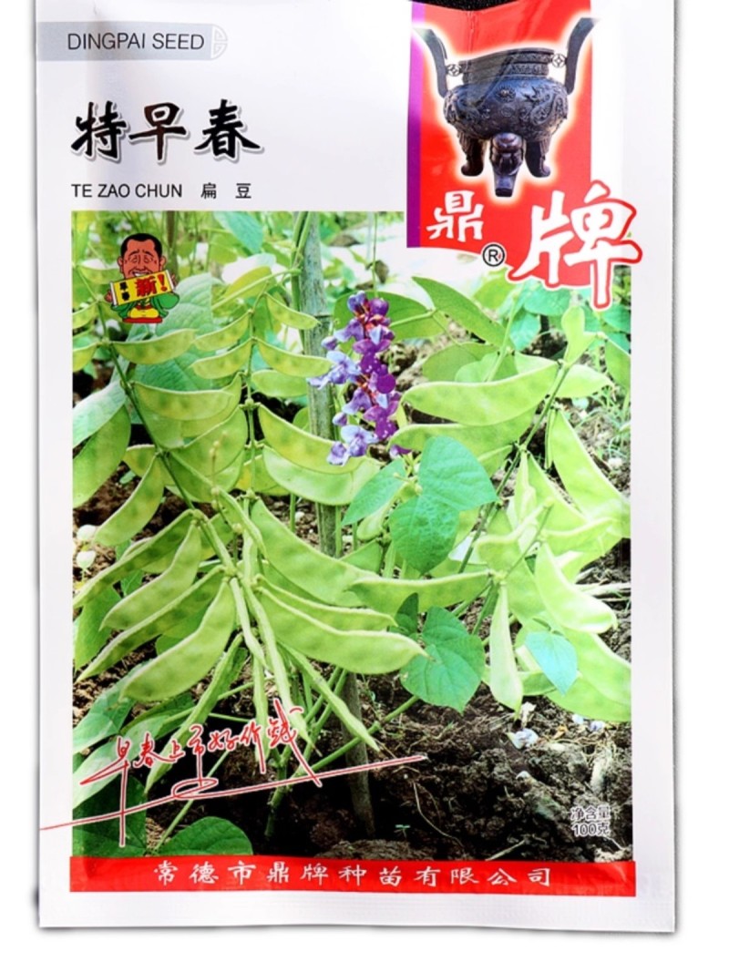 鼎牌红花1号扁豆种子基部开始结荚重复结荚高产棚室露地种植