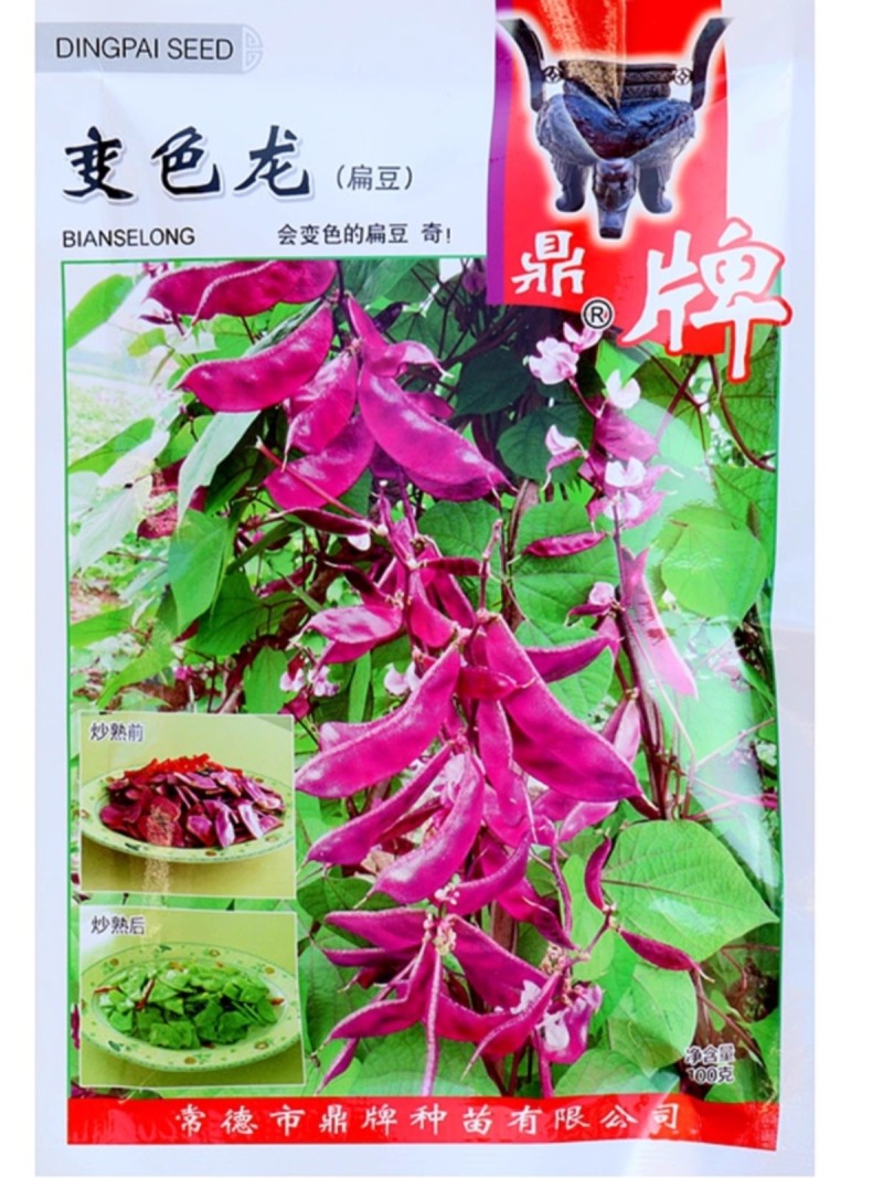 鼎牌红花1号扁豆种子基部开始结荚重复结荚高产棚室露地种植