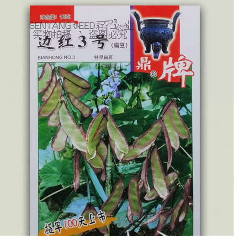鼎牌红花1号扁豆种子基部开始结荚重复结荚高产棚室露地种植