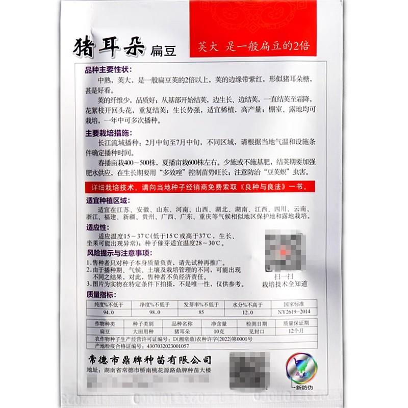 鼎牌红花1号扁豆种子基部开始结荚重复结荚高产棚室露地种植