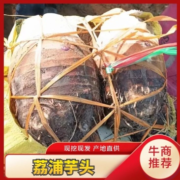 广西贺州芋头产地直销，欢迎咨询代办，经验丰富。一条龙服务