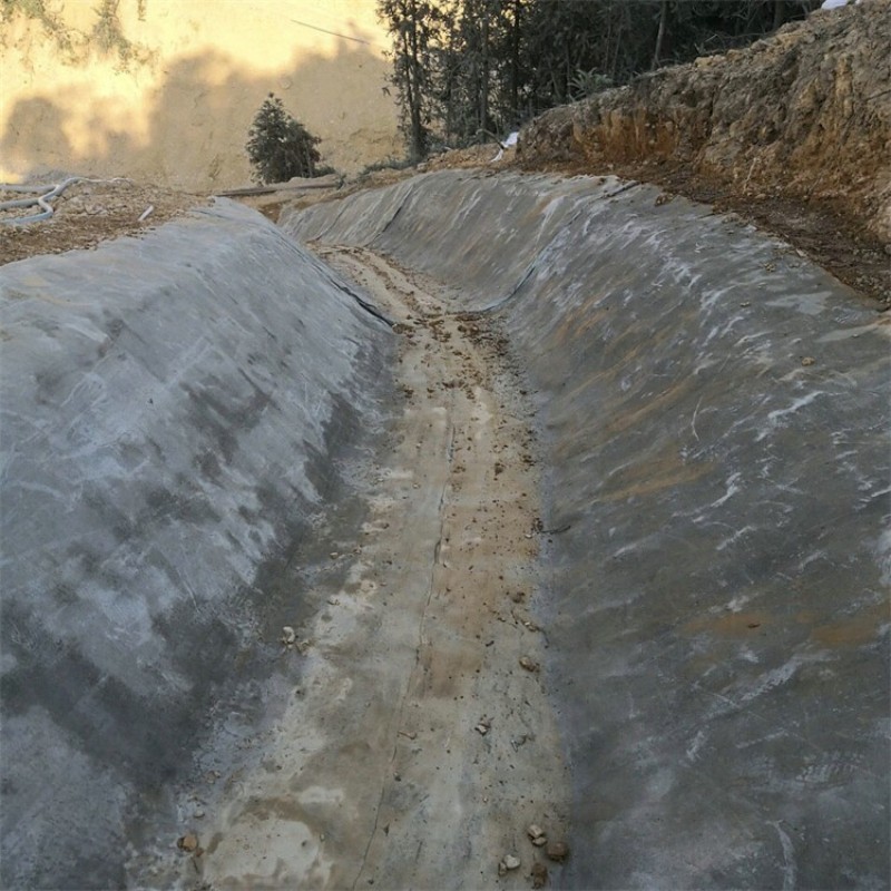 水泥毯浇水固化鱼塘护坡铺路沟渠河道改造固坝固土混凝土