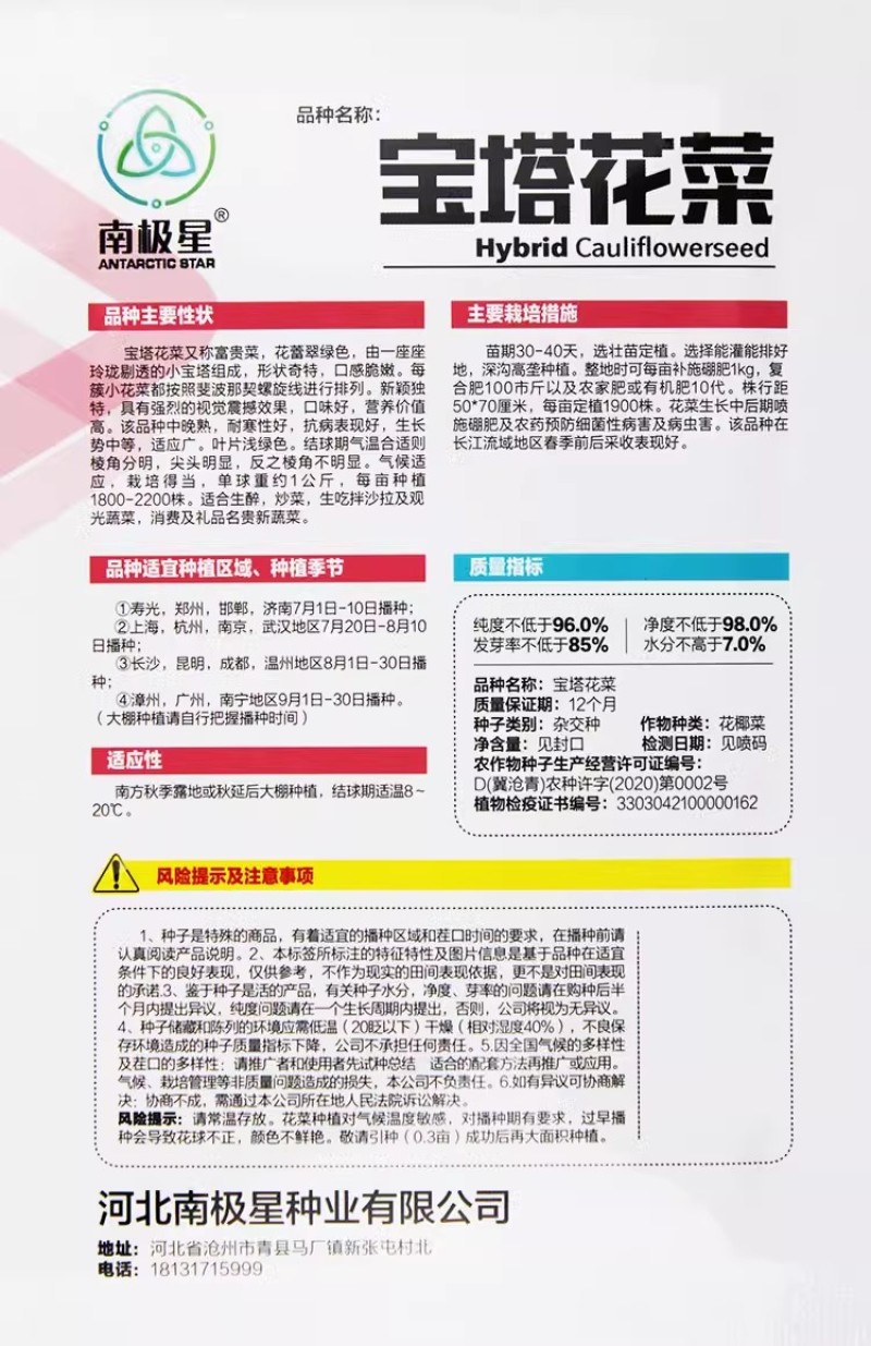 宝塔菜种子宝塔花椰菜种子菜花种夏播秋四季蔬菜花菜种孑