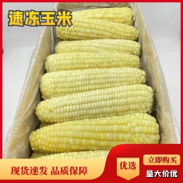 大量东北速冻粘糯玉米对接社区团口档口批发商