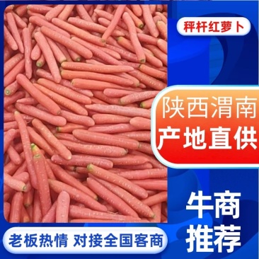 大荔秤杆红萝卜，诚信经营，量大从优，保质保量