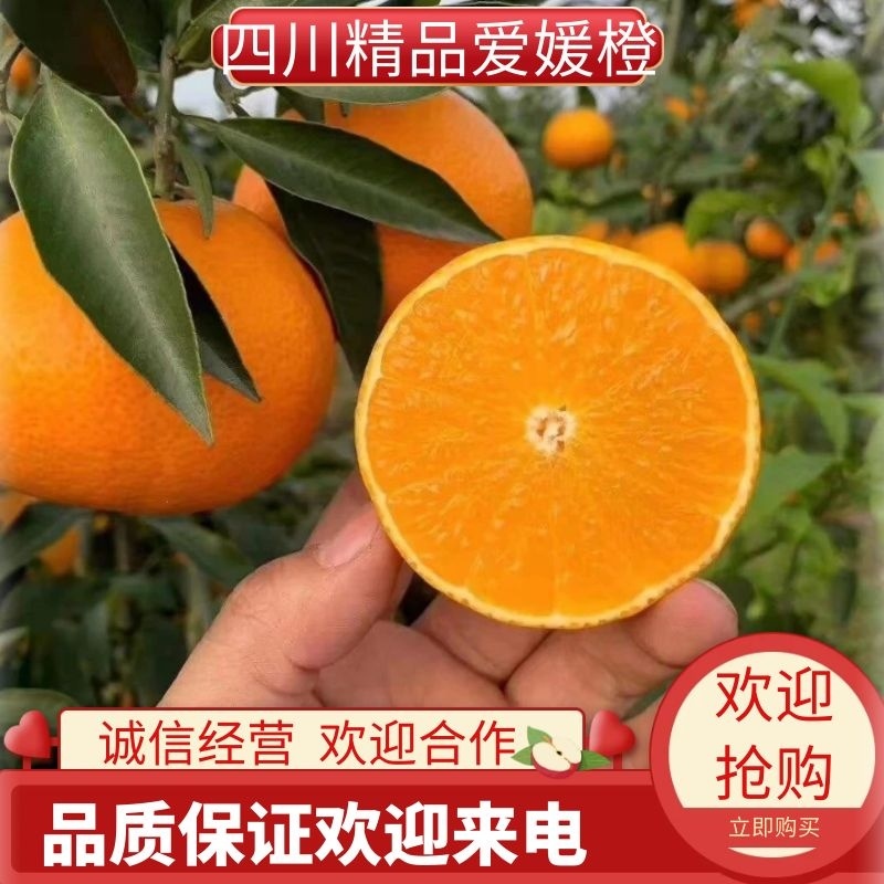 爱媛38爱媛果冻橙爱媛橙接所有渠道开票包括视频号佣金返