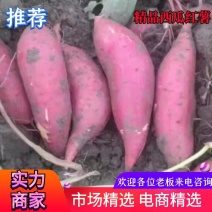 【精品】西瓜红薯，无虫眼，无疤痕，色泽鲜艳，2023年新薯