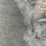 麻城市无烟原木木炭厂家直销欢迎采购