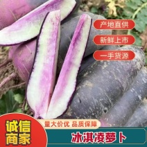 冰淇凌萝卜即食甜脆现拔现发自家种植基地直供