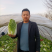 【白菜】黄心白菜大量供应产地直发可视频看货