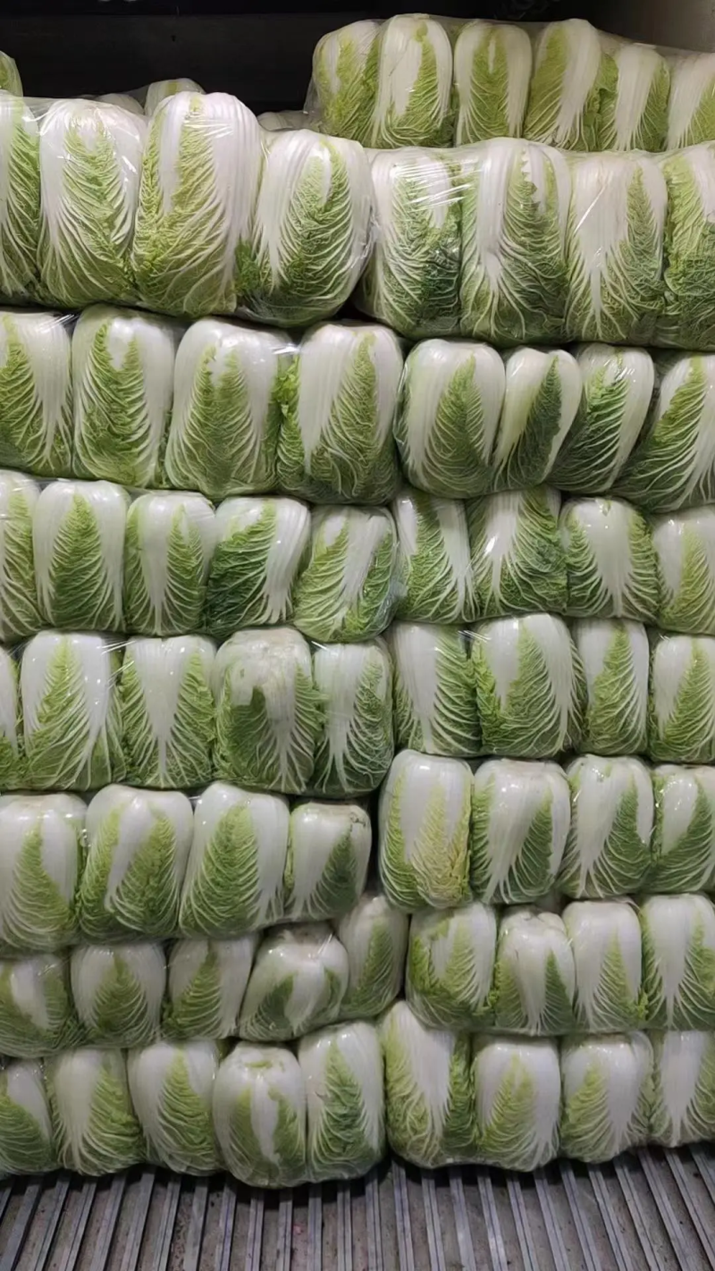 【白菜】黄心白菜大量供应产地直发可视频看货