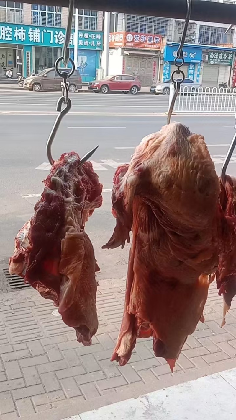 【牛肉】散养黄牛肉现杀现发可视频看货量大从优