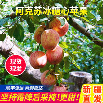 阿克苏原产地冰糖心苹果5斤实惠装一件代发京东包邮