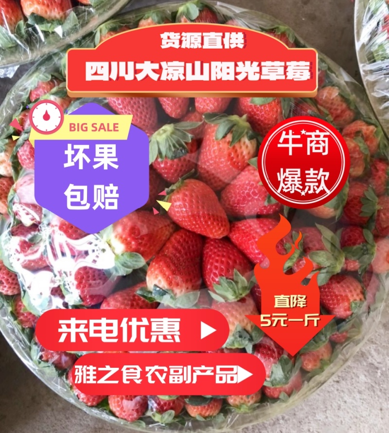 【荐】优选商家奶油草莓巧克力草莓对接连锁水果店微商电商