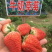 【荐】新鲜甜查理奶油草莓产地代办批发市场批发团购支持代发