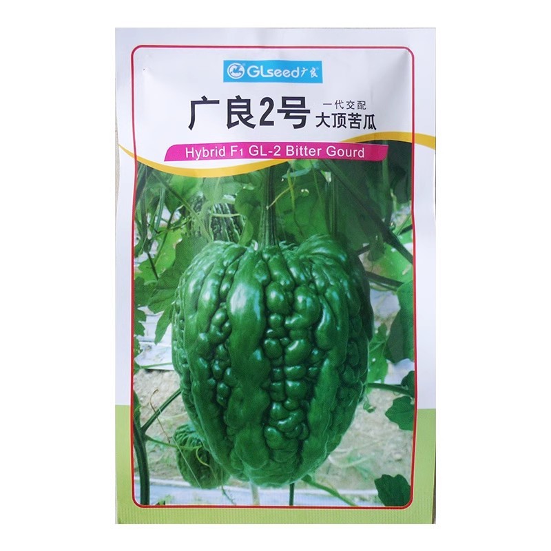 广良2号大顶苦瓜种子，大鼎雷公罩杜阮凉瓜种子，深绿色