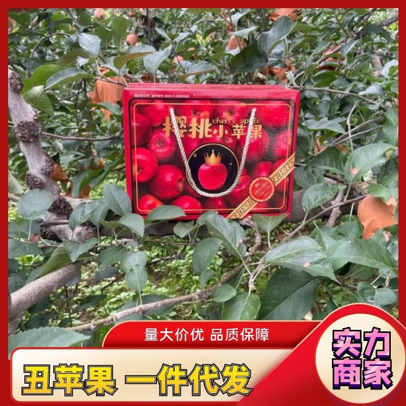 云南昭通冰糖心丑苹果一件代发，规格可定制，接电商