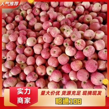 昭通108苹果大量有货支持电商主播市场一条龙服务
