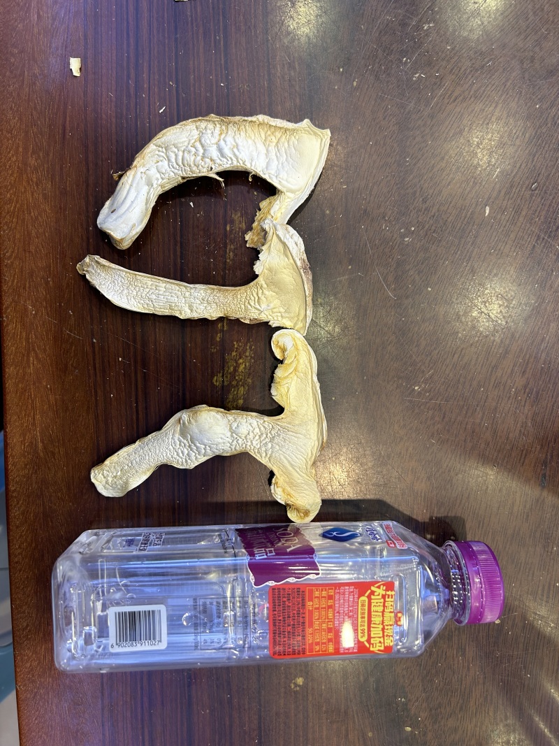 雅江松茸