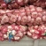 金乡大蒜颗颗精选皮薄肉厚产地直发品质保证一手货源量大从优