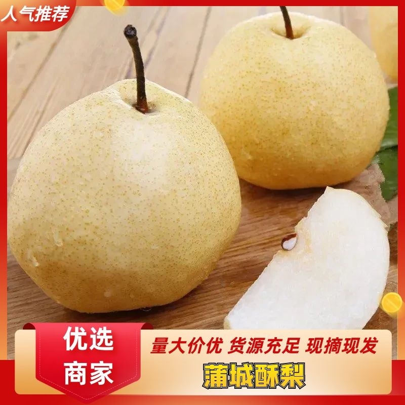 【精品酥梨】蒲城酥梨陕西一手货源口感脆甜多汁量大从优电联