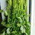 陕西香菜叶菜类菜茎干粗叶片绿香味浓量大优惠品质保证