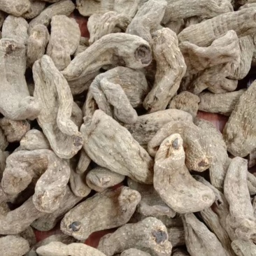 精品乌天麻各规格批发出售，价格优惠，欢迎老板联系询价。