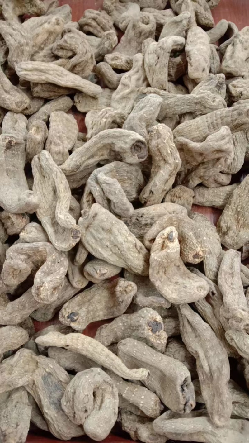 精品乌天麻各规格批发出售，价格优惠，欢迎老板联系询价。
