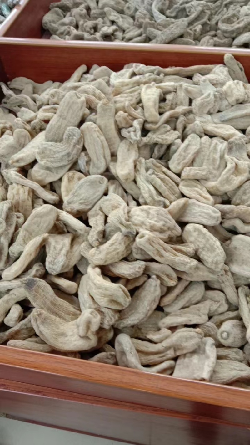 精品乌天麻各规格批发出售，价格优惠，欢迎老板联系询价。